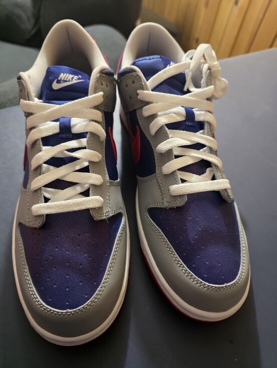 Nike Dunk Low Retro 